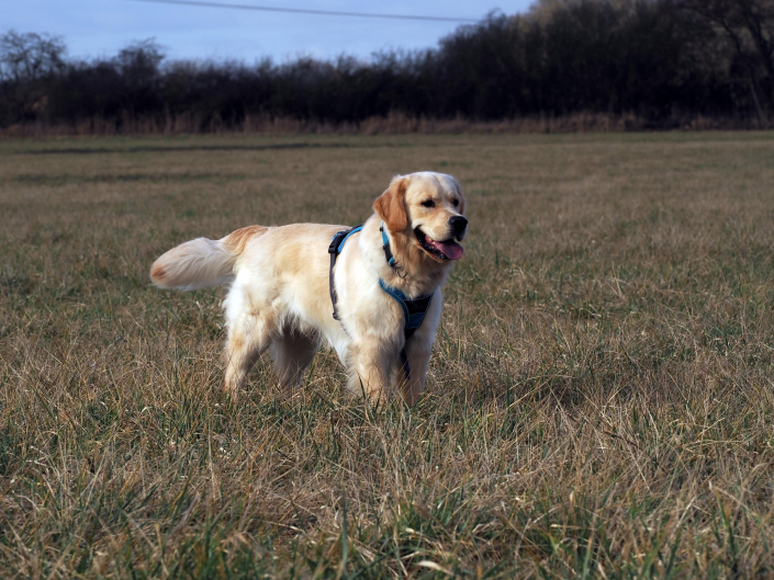 8bb61617-c7fb-43e3-9ae3-346093e582c5