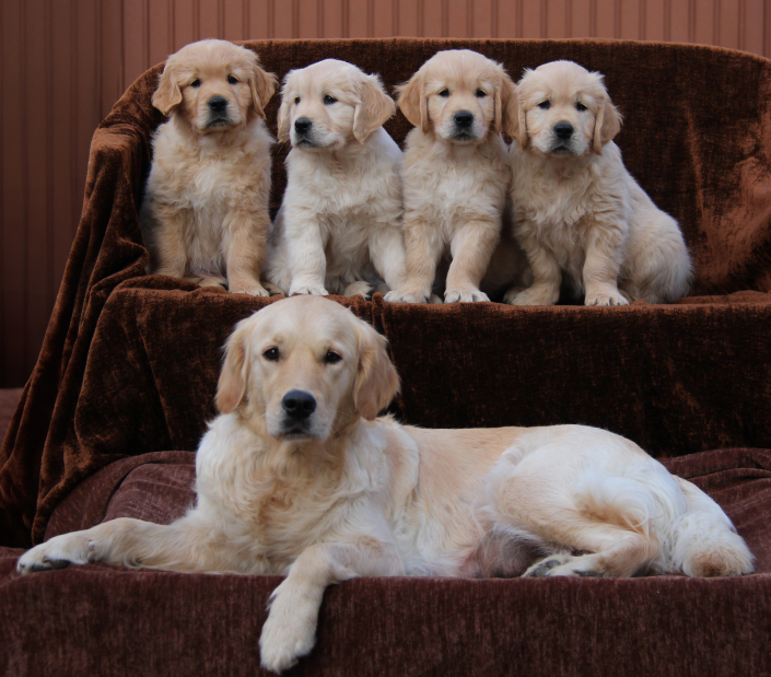 F-WurffotomitSky F-Wurf