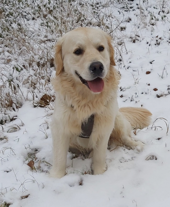 PHOTO-2026-01-17-18-27-48