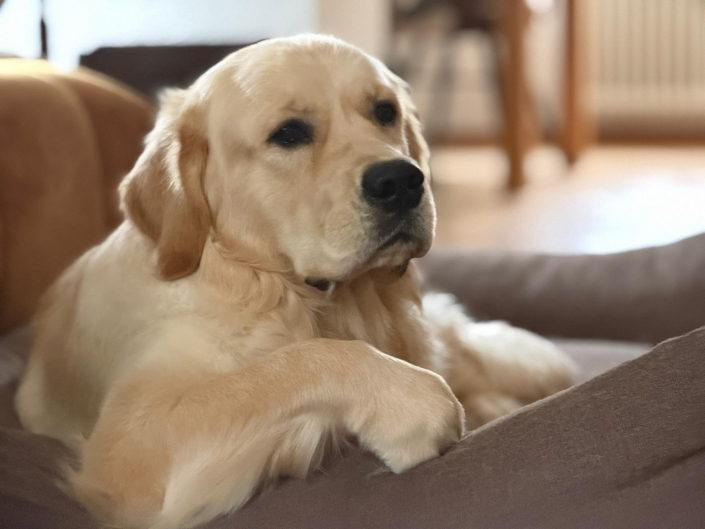 PHOTO-2026-02-13-15-48-12